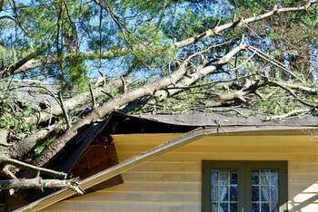 Storm Damage in Crowley, Texas by Texas Elite Roofing & Construction